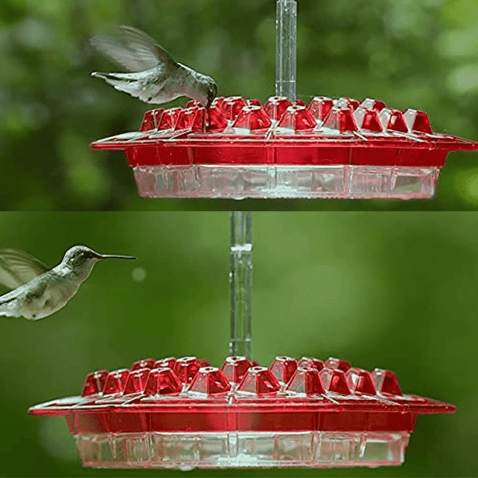 Ant Proof Hummingbird Feeder Outdoor Hanging Perch